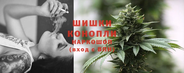 дмт Новозыбков