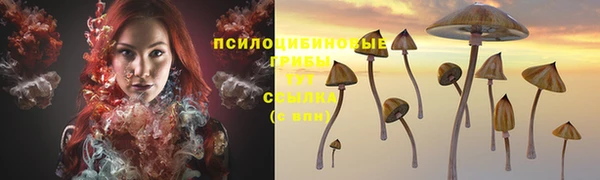 2c-b Новодвинск