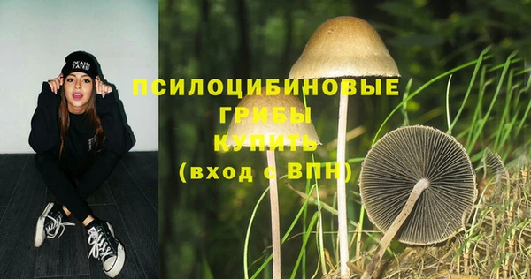 дмт Новозыбков