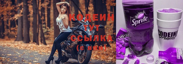 дмт Новозыбков